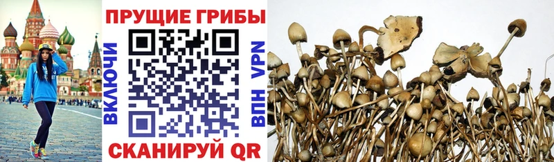 Галлюциногенные грибы мицелий  Абдулино 