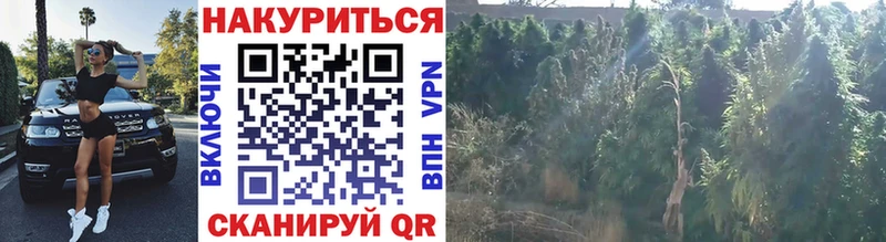Каннабис VHQ  продажа наркотиков  Абдулино 